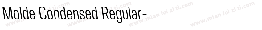 Molde Condensed Regular字体转换